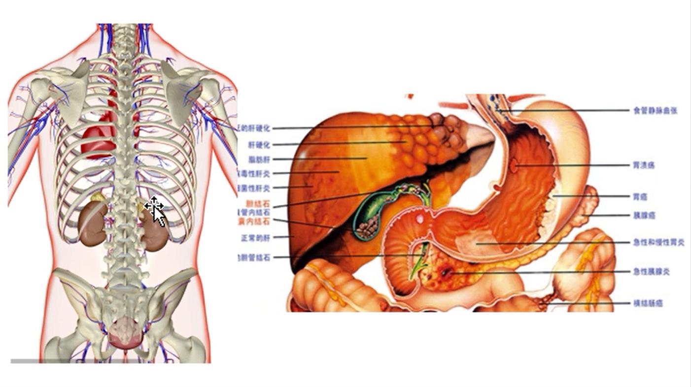 胆结石胆囊炎最佳治疗方法中医,胆囊炎胆结石保守治疗方法