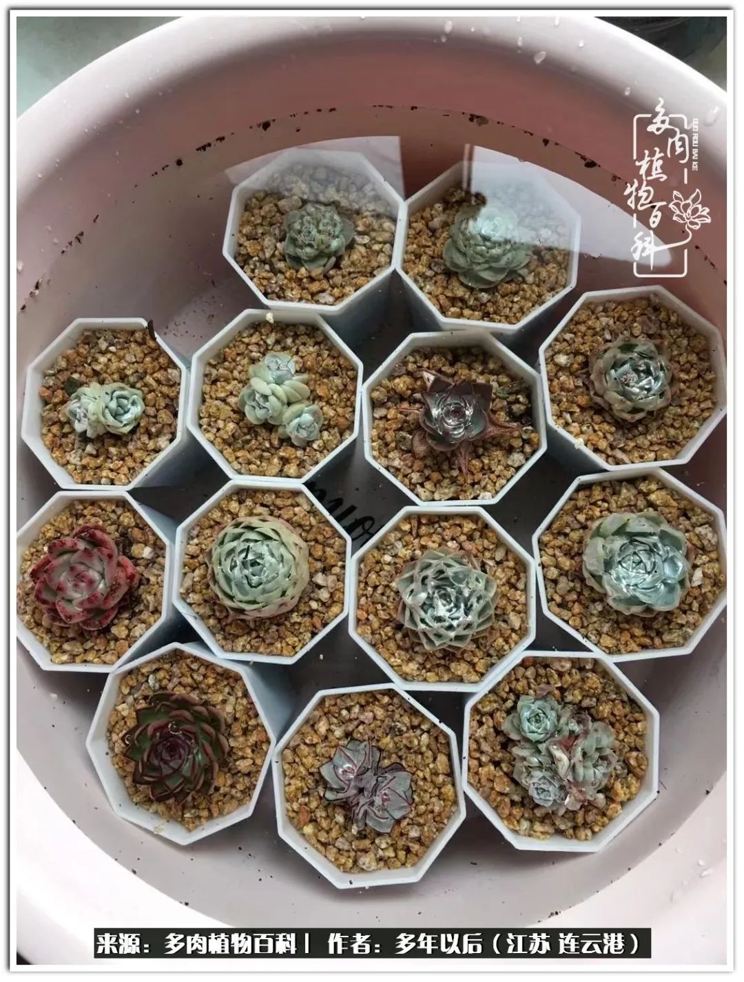 我若不弃，愿你不负我所期