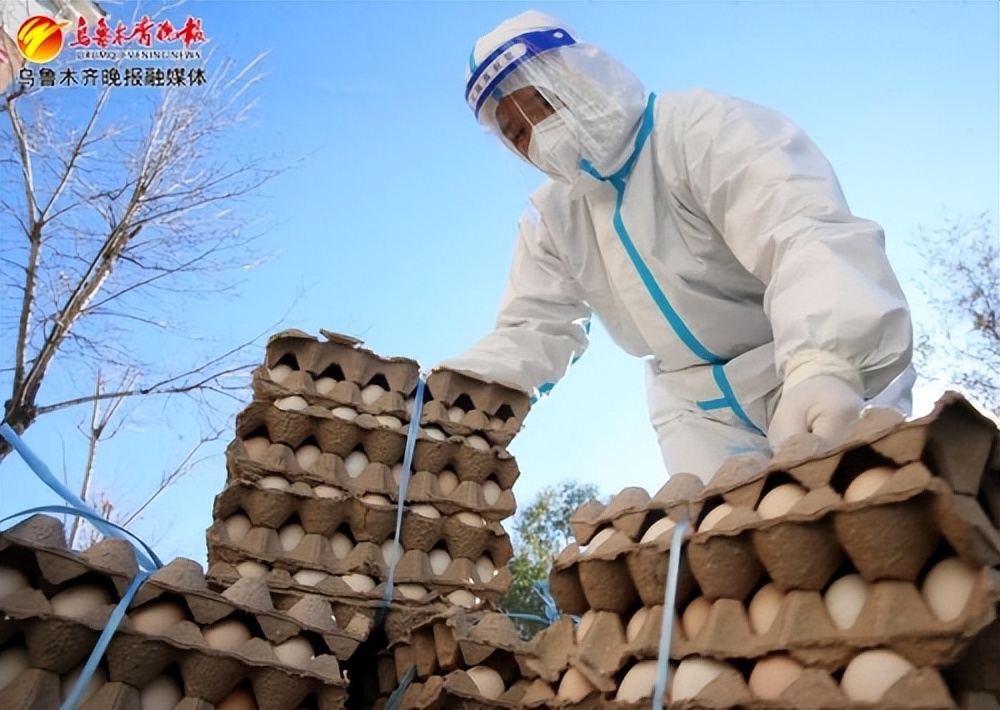 防控一线*党**旗飘扬丨“文武双全”的*疆新**公安厅下沉干部秦康