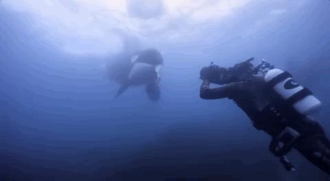 豆瓣排名第五摄人心魄的好片,豆瓣8.6分今年看过最良心的电影