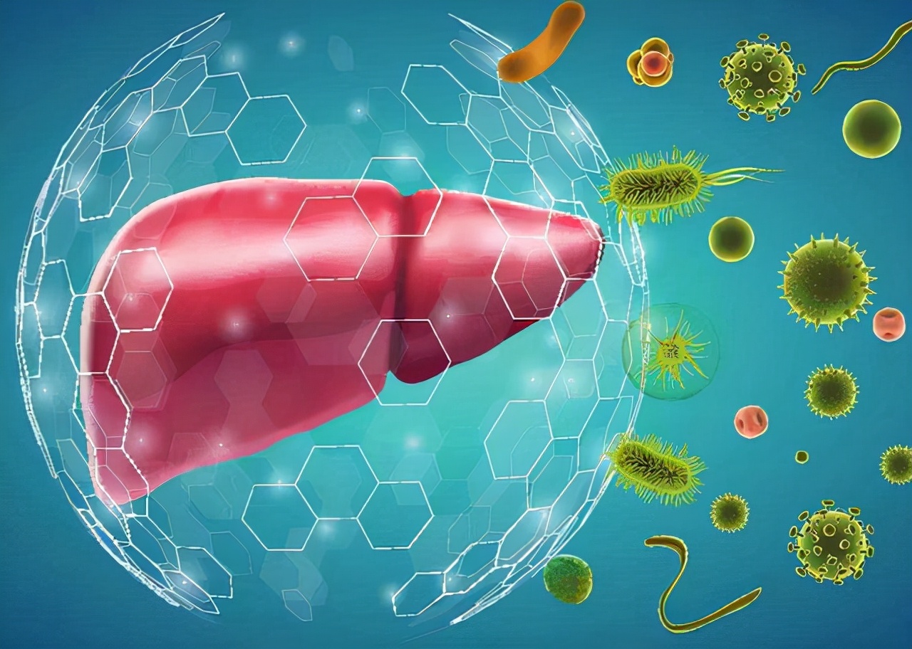 为什么医生建议停止使用绞肉机,绞肉机会伤肝吗