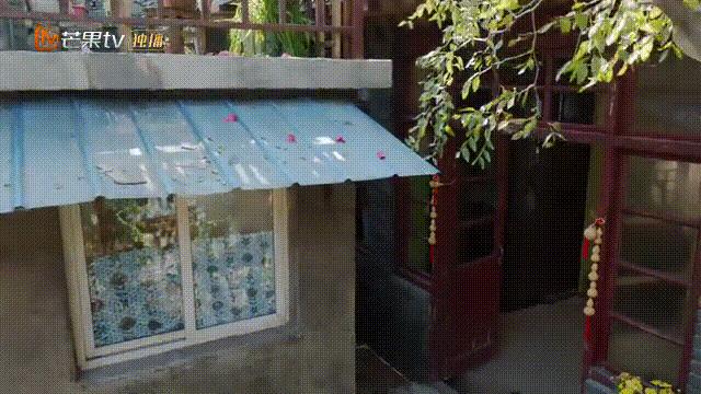 张卫国的夏天多长时间更新一集,张卫国的夏天每周多少集