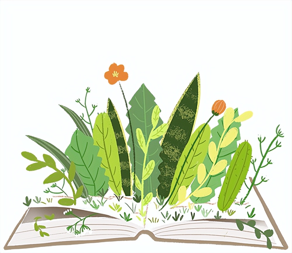 大福利礼包书,大福利文具产品