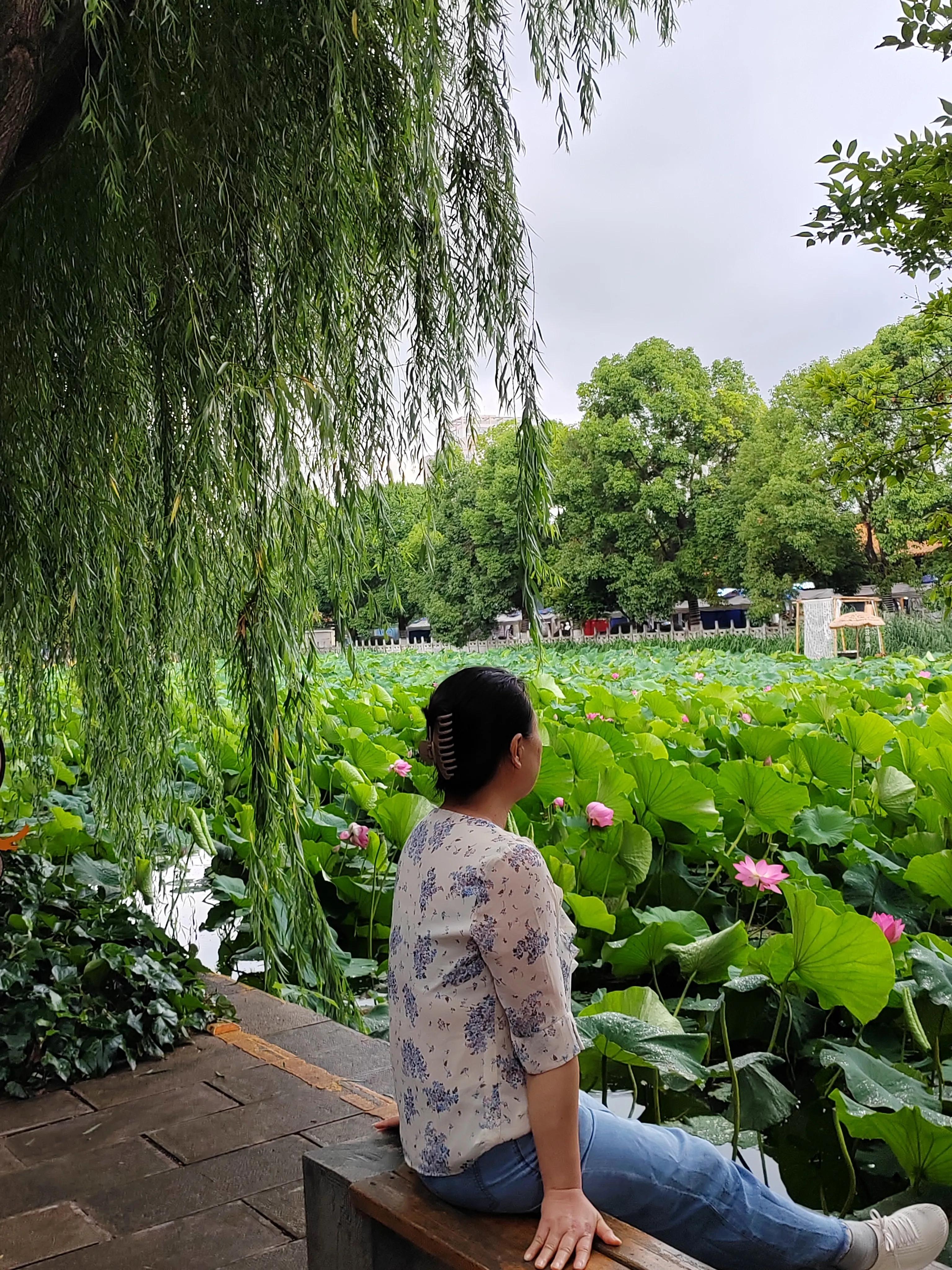 与春城昆明的再次邂逅，让这个盛夏有一抹清凉