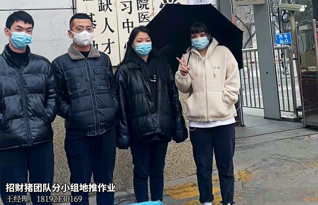 西安招财猪信息科技有限公司官网,西安招财猪招商