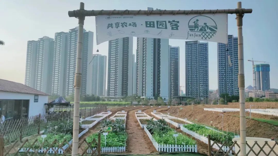 假期去哪玩最好深圳,假期去哪里玩深圳