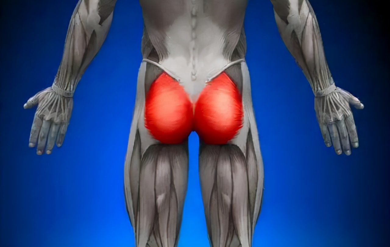 天生屁股大对人体好吗,屁股大和胯大有区别吗