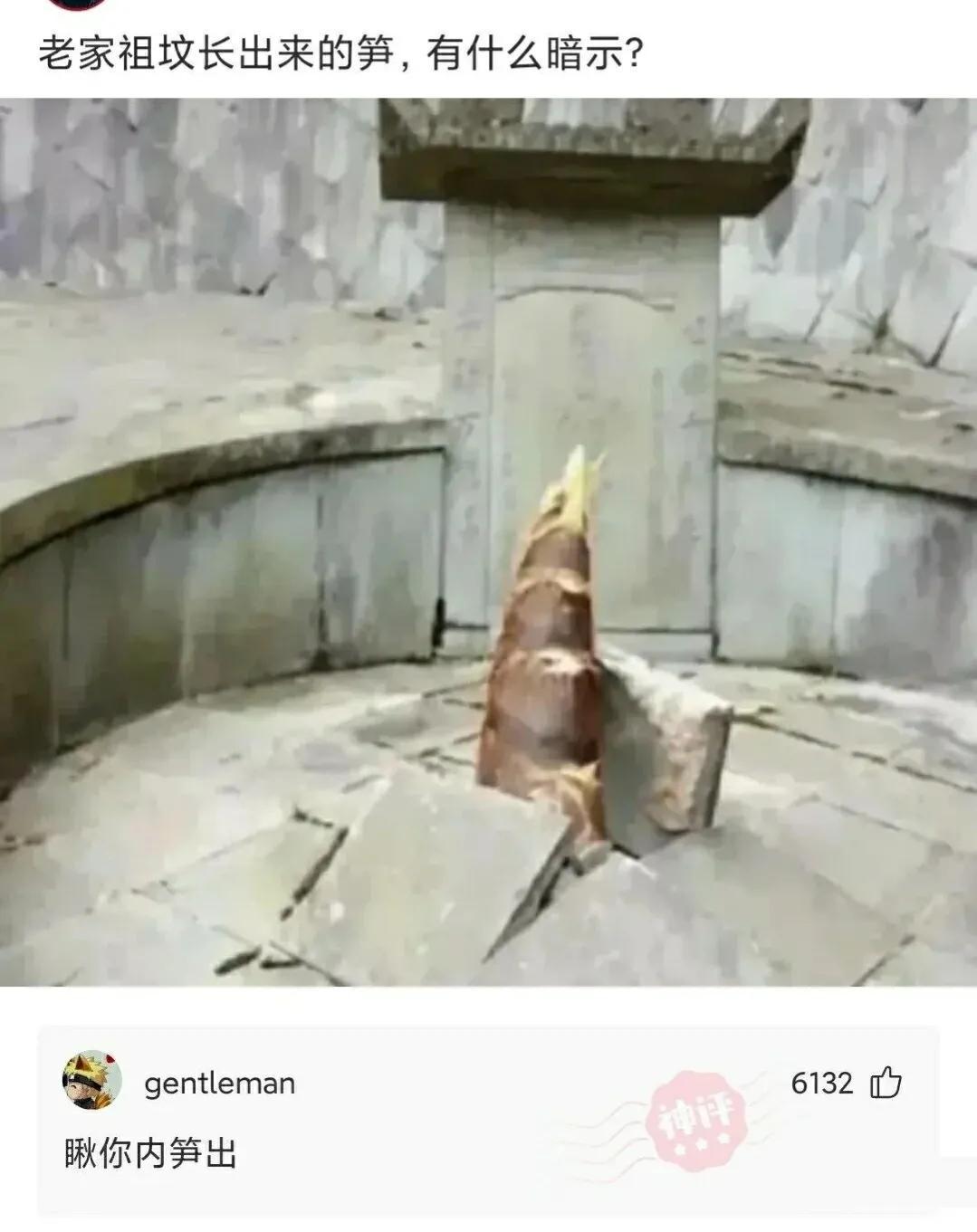 穿泳衣还可以穿内衣吗,穿泳衣和穿内衣有什么不同