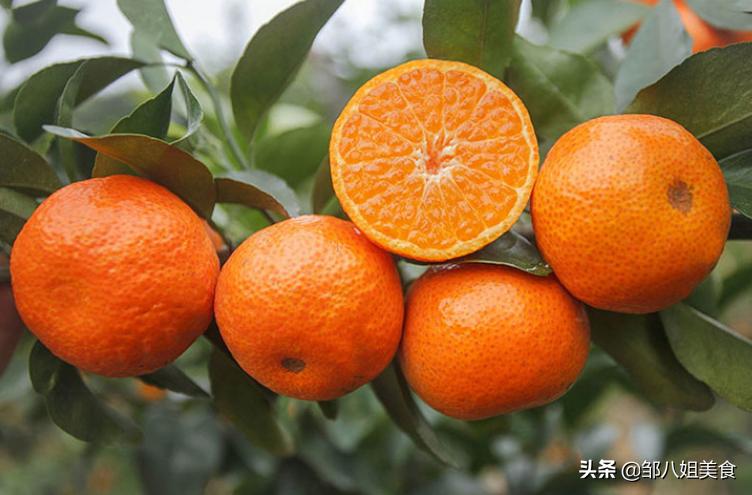 买砂糖橘要摘叶子吗,砂糖桔知识大全