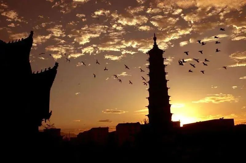 武酒演义价格,武酒演义怎么样