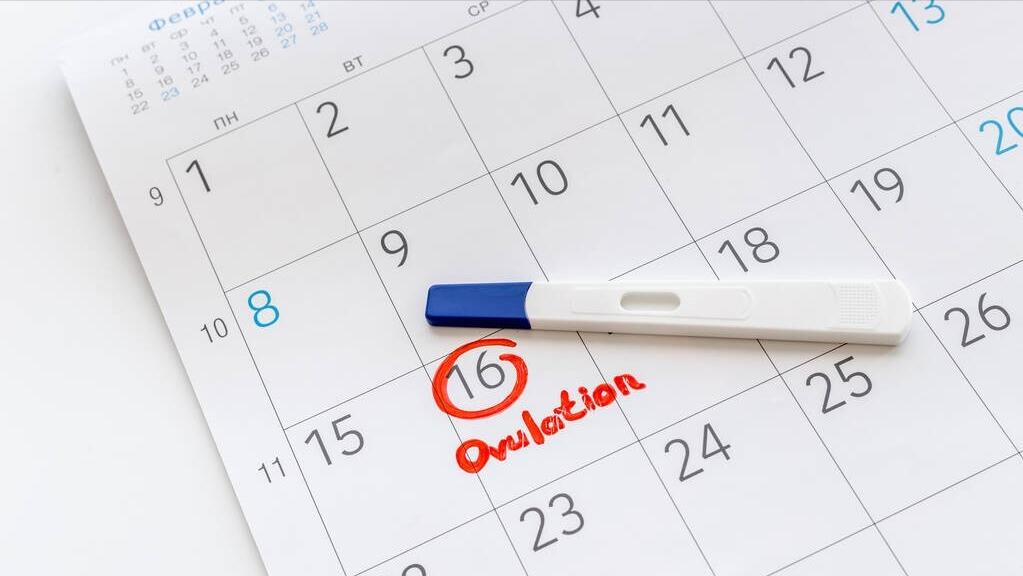 女性一直出血是什么原因引起的,女性出血是什么原因导致的