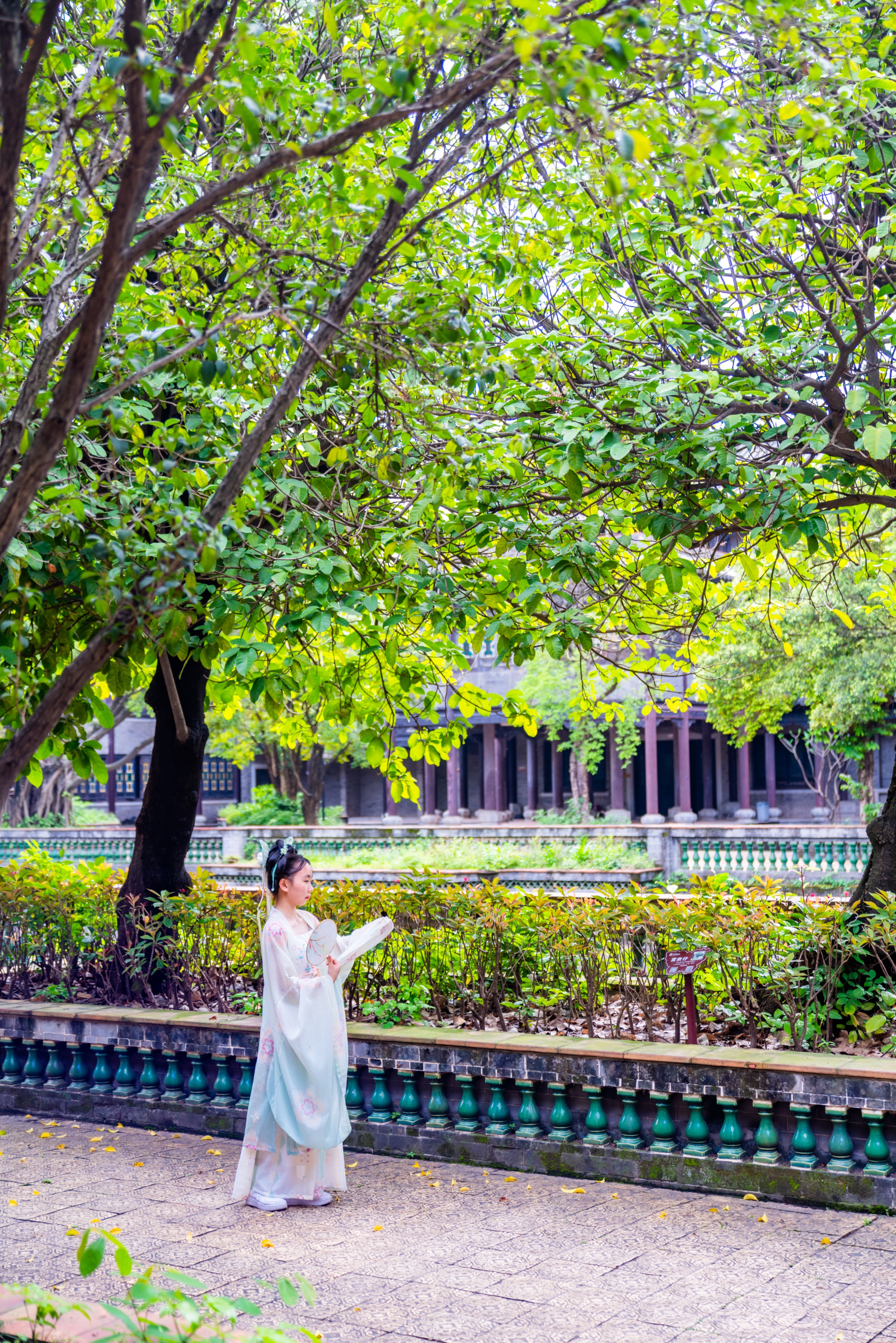 粤晖园国庆游,粤晖园自驾游攻略