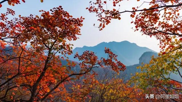 山行唐杜牧古诗意思讲解,杜牧山行书法小篆作品欣赏