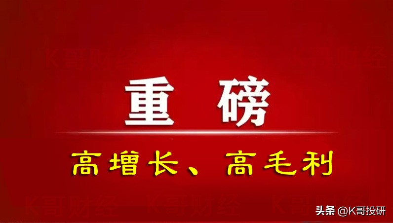 a股30只主力重仓的高增长股名单,28个龙头股票一览表