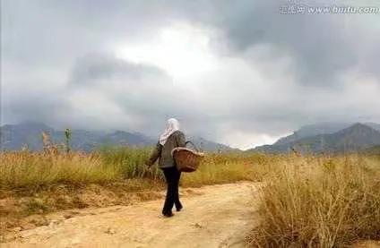 我的风雨人生路抖音女声,风雨人生路原唱