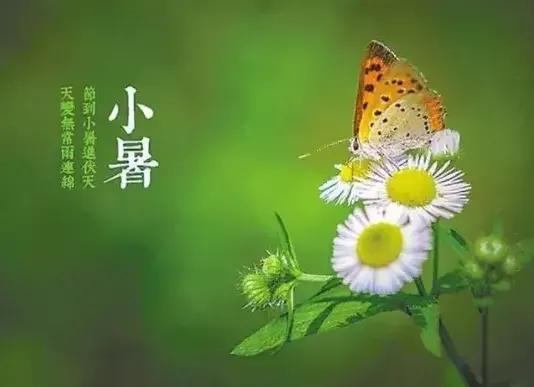 小暑节气最美问候图片,小暑节气早安问候图片