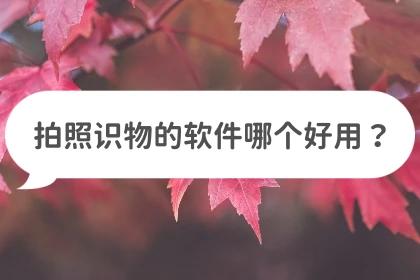 苹果手机拍照识物功能怎么操作,拍照树木识物软件哪个最好最准确