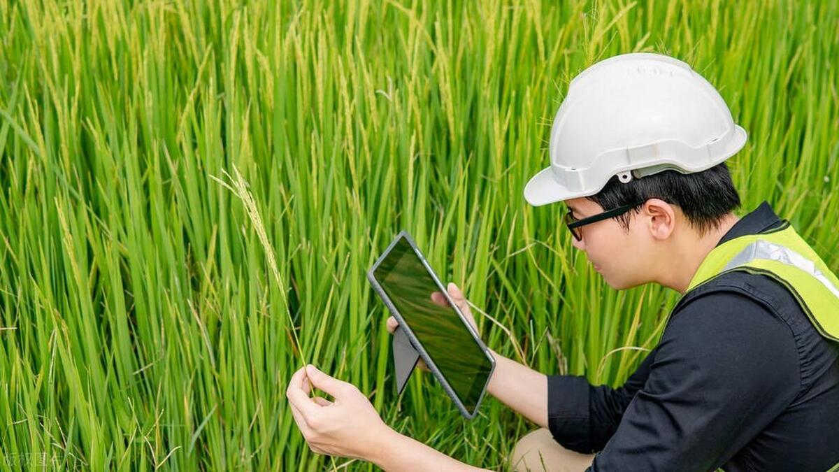 农学专业发展前景怎么样,农学硕士值得考吗