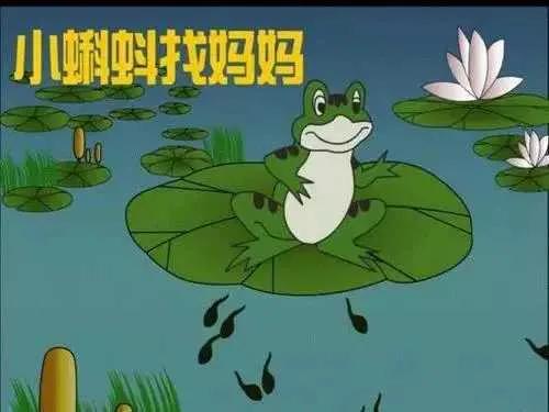 有关于克罗地亚的地理冷知识,克罗地亚是个怎样的国家