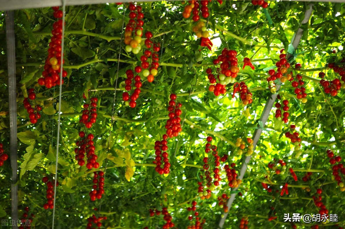 地暖公司怎么开阀门的,地暖放水排气需要关供水阀门吗