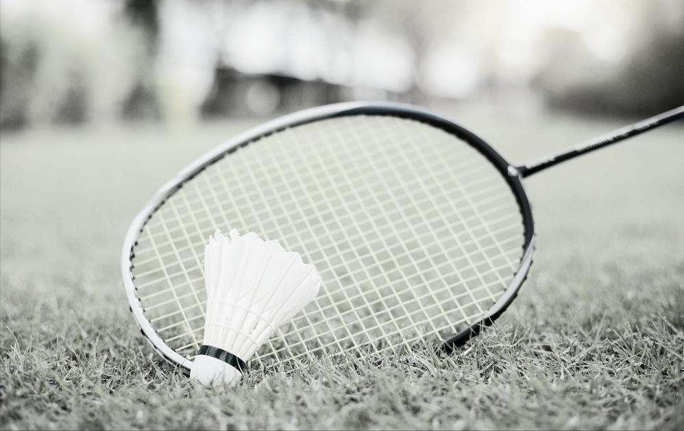 走进羽毛球,走进羽毛球运动