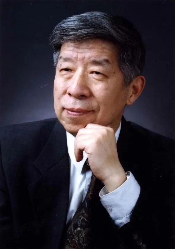 数学家杨乐成就,数学家杨乐在数学界中地位