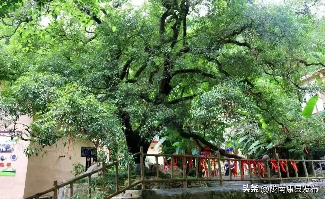 浜斾竴搴峰吇鏃呮父,浜斾竴搴峰吇搴﹀亣鏀荤暐