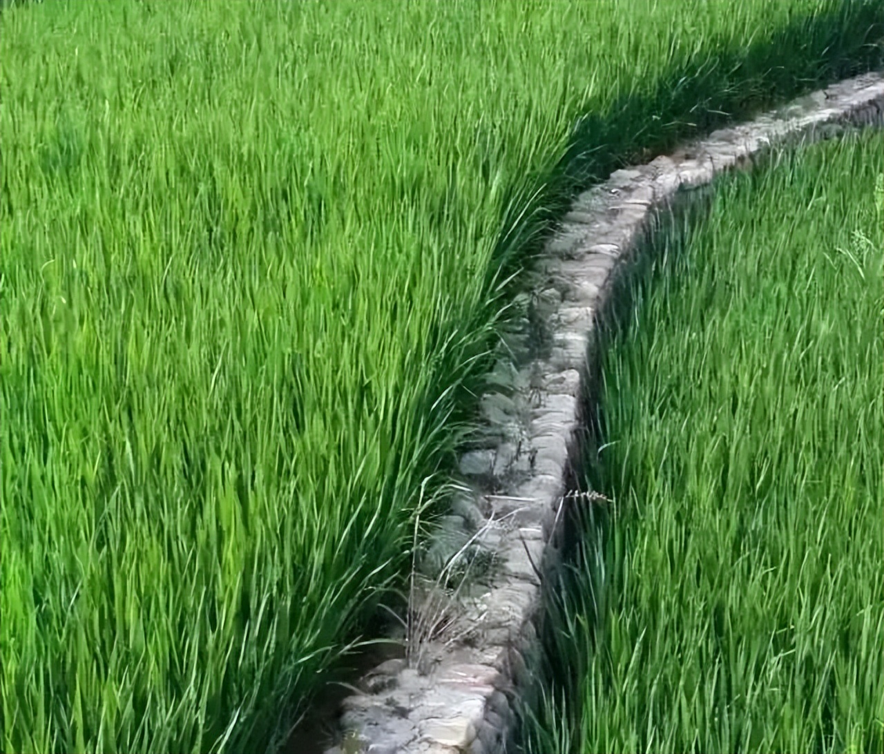 杭黄高铁到婺源,杭黄高铁黄山到杭州