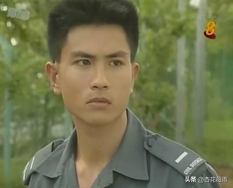 这些新加坡电视剧你都看过了吗,推荐新加坡经典老电视剧