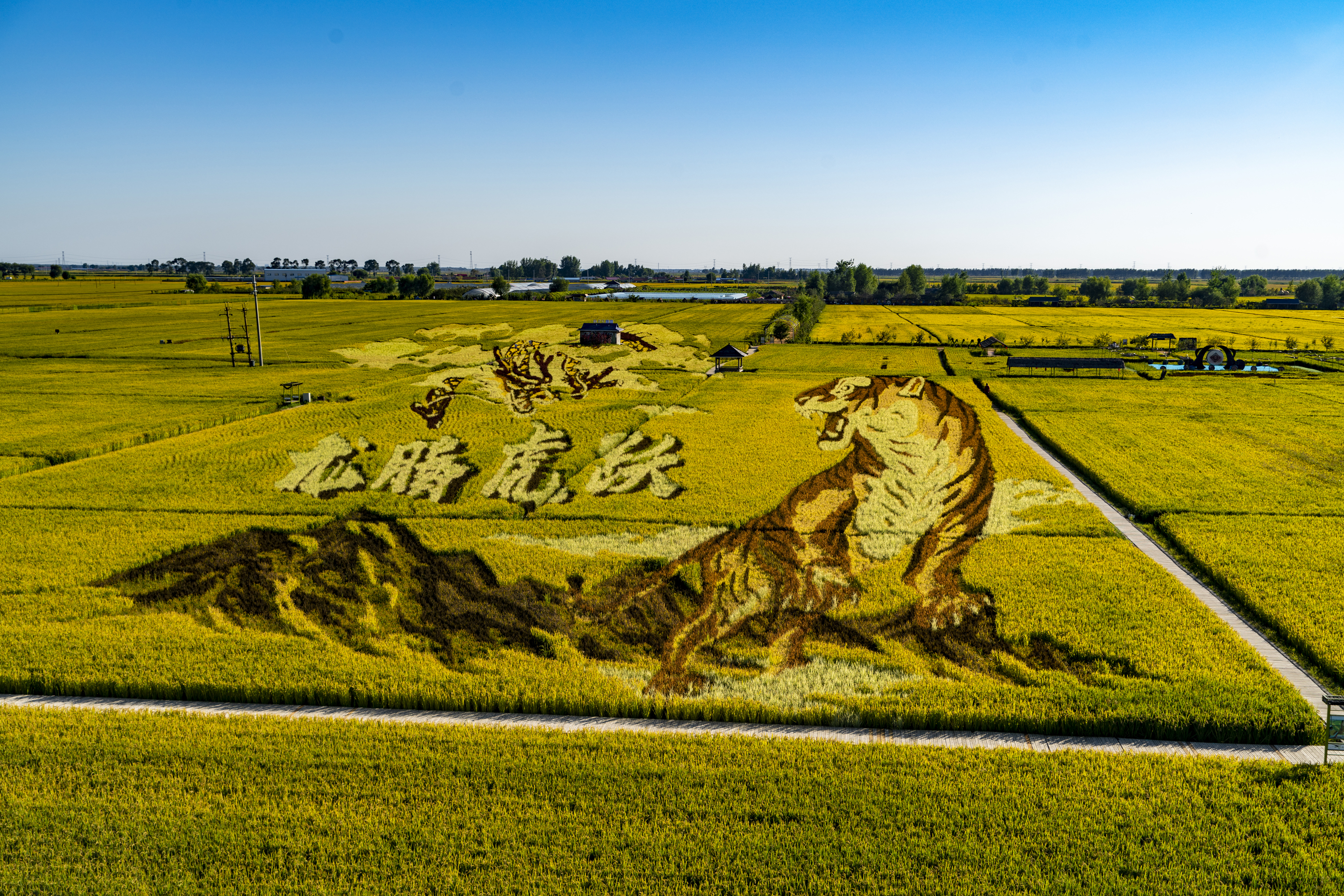 沈阳市稻梦空间,沈阳稻梦空间附近农家院
