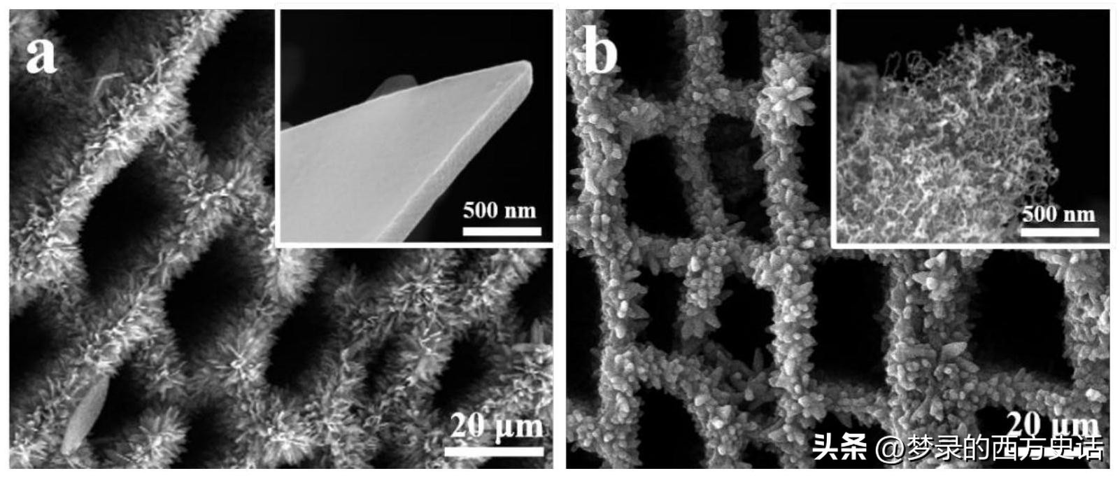纤维素纳米晶体长宽比对所有CNC薄膜性能的影响被膜和木材CNC
