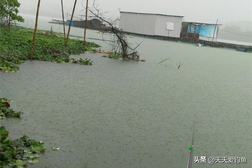 无鱼咬钩钓位图解,冬季野钓无鱼咬钩3种原因