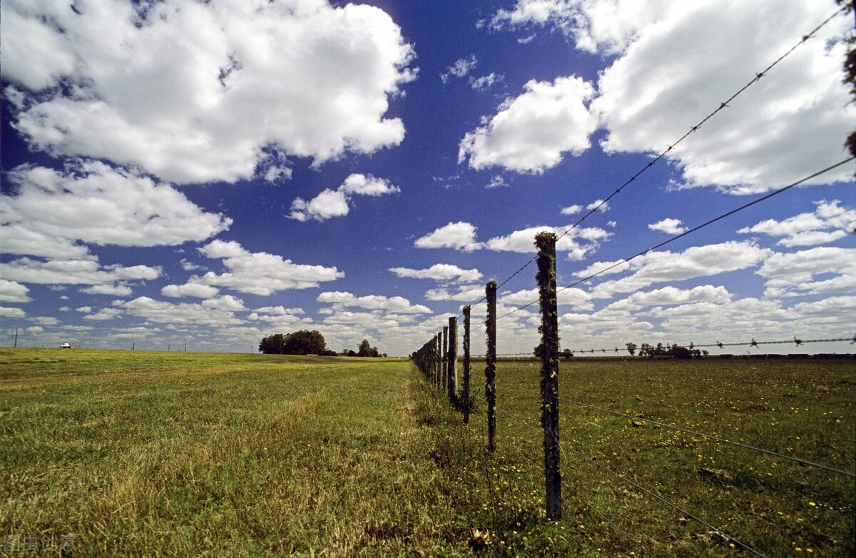椋庢儏鍙ゅ反,椋庢儏鎷夌編