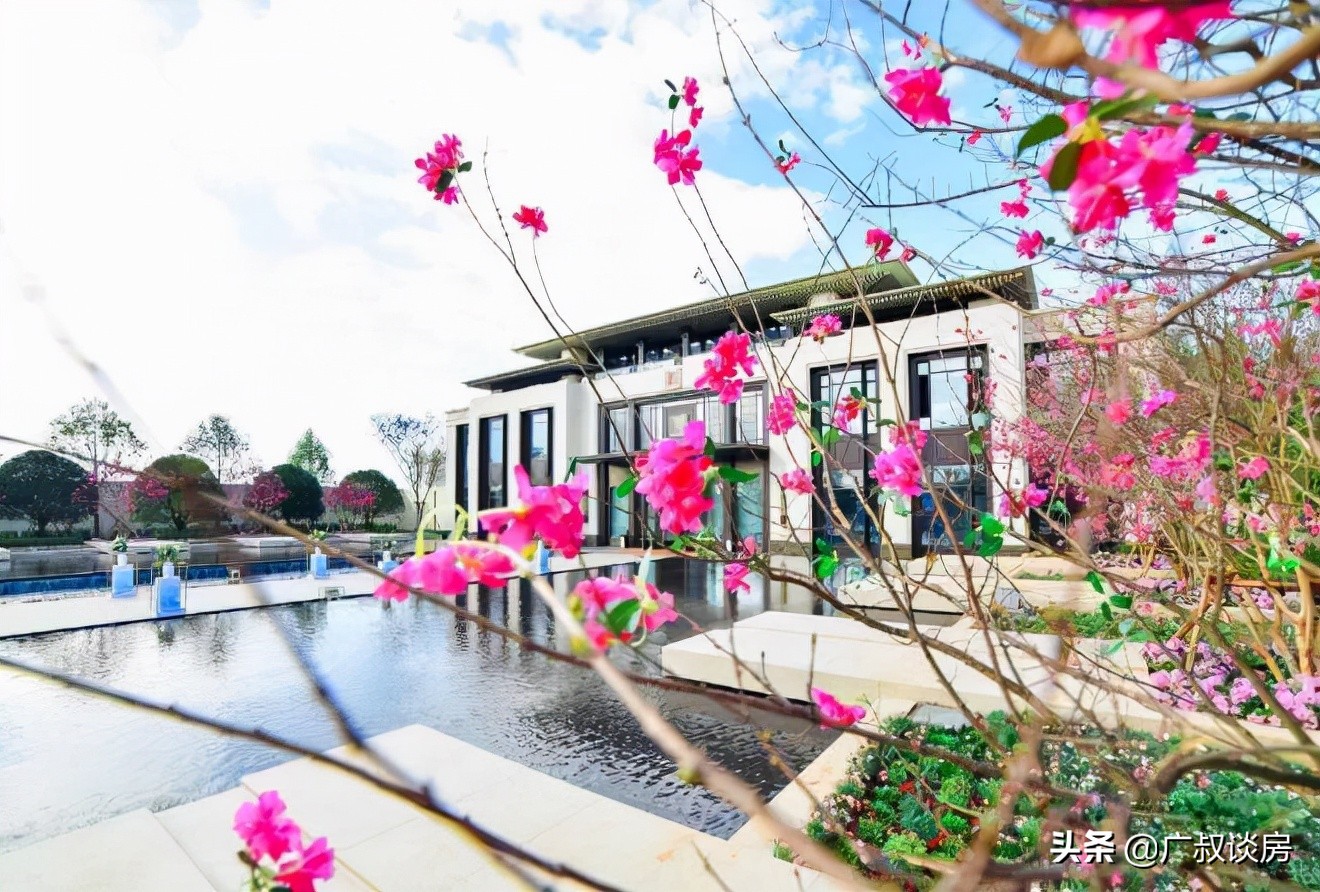 东莞楼市最新房价排行,东莞房产价值洼地