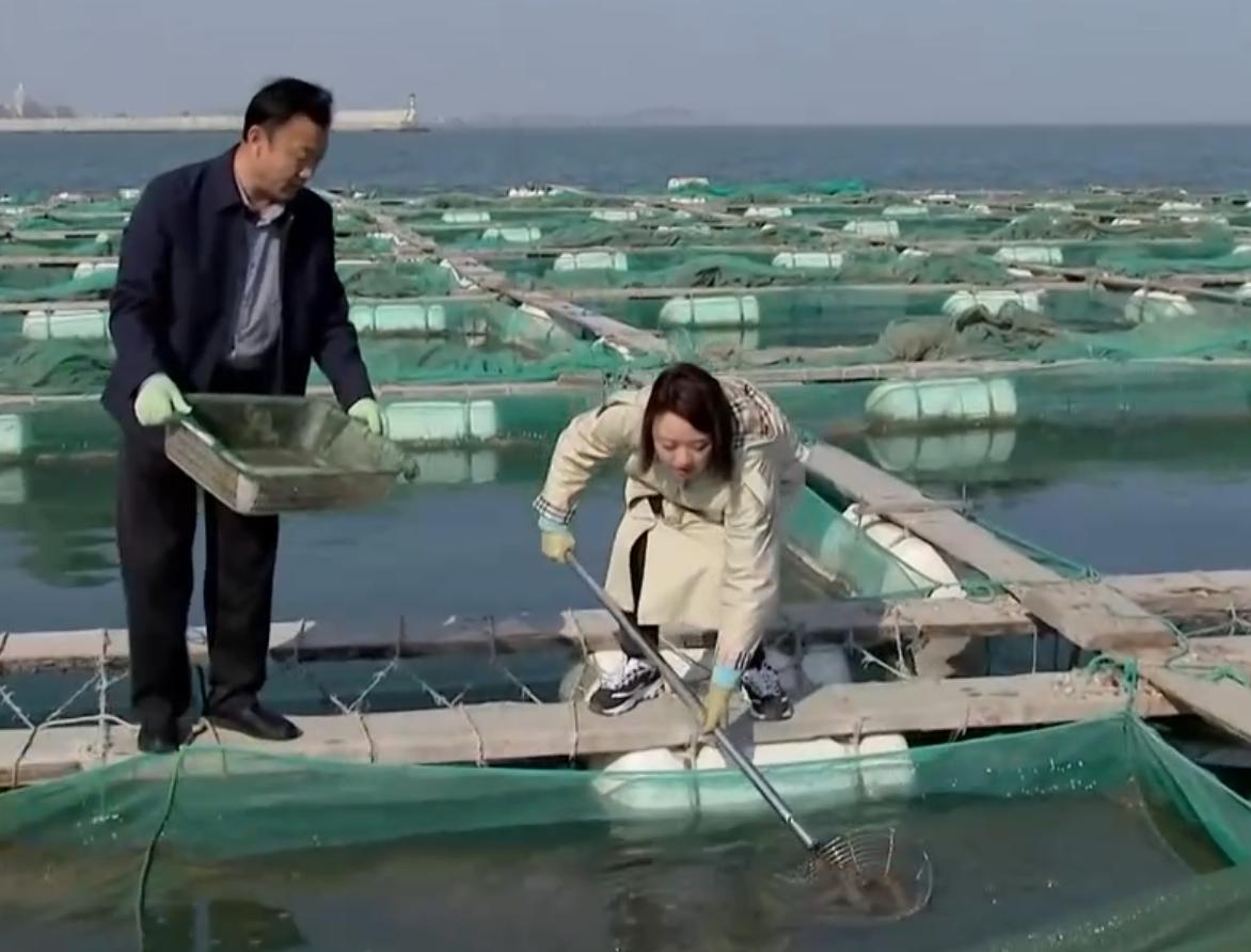 一年销售6000万海参,破烂王致富30