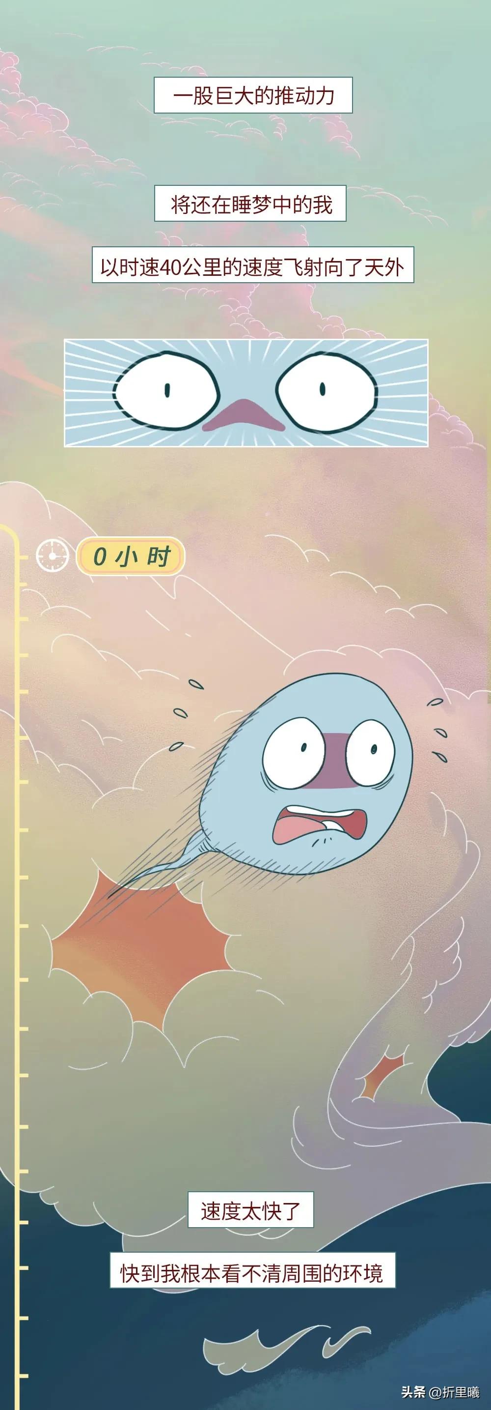 精子进入女生体内的24小时全过程曝光！