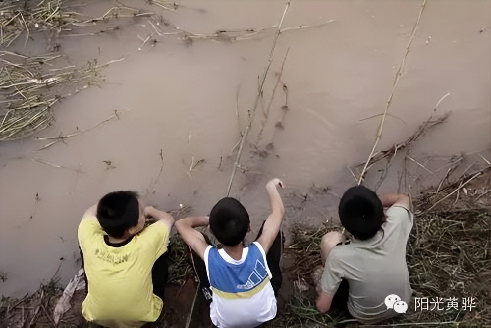 沧州东乡记忆——故乡的水塘
