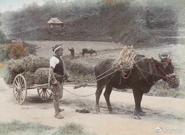 鏃ュ啗鍏借,渚靛崕鏃ュ啗鍏借