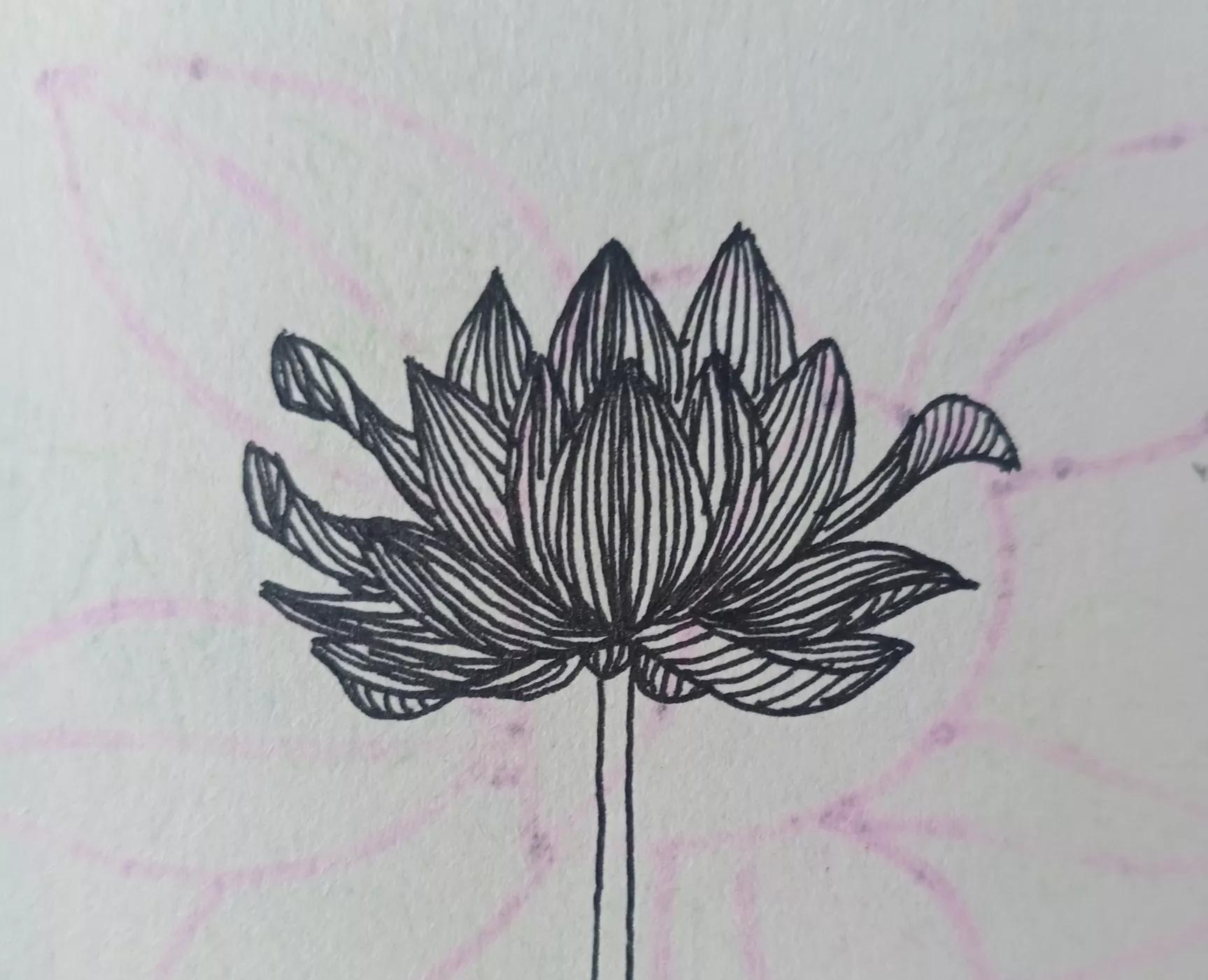 花瓶里的花线描画,线描画花瓶教学视频
