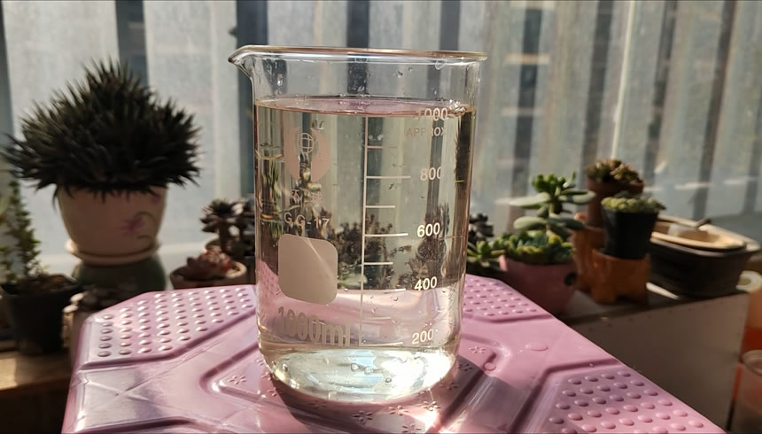 网上买的鱼如何预防死,网购鱼到家躺了怎么救