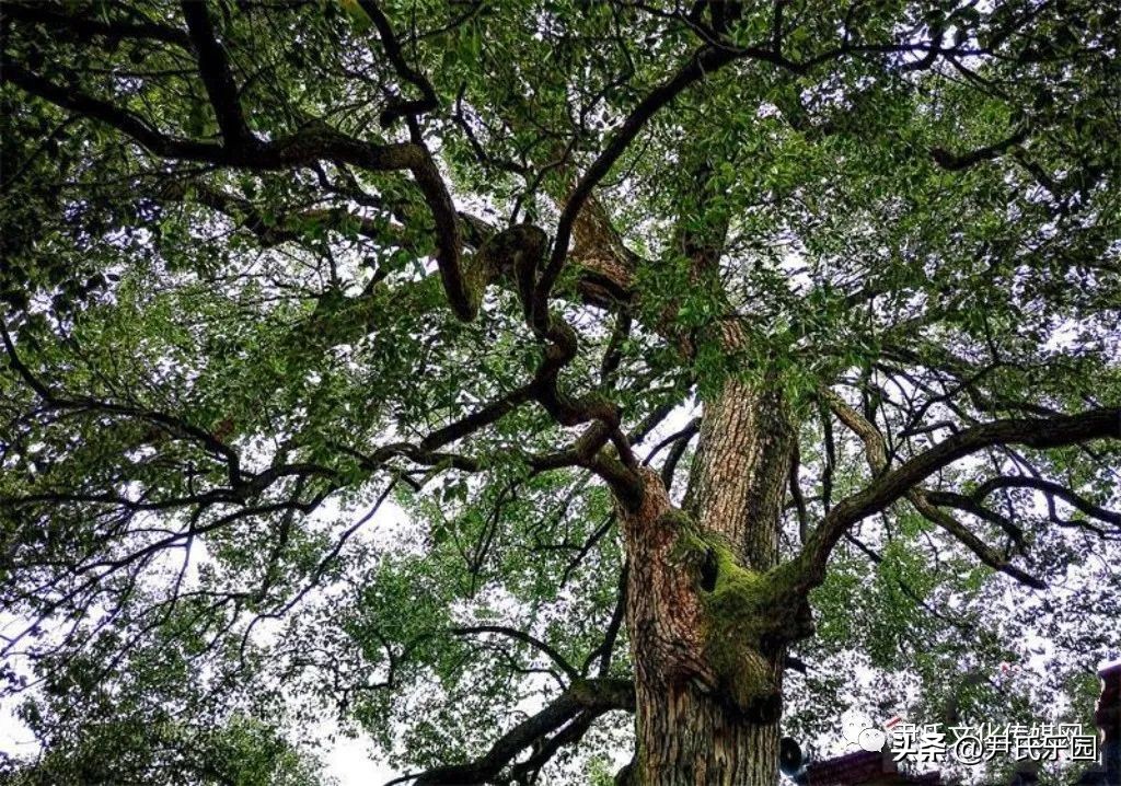 湖南千年古村落,常宁市千年古村