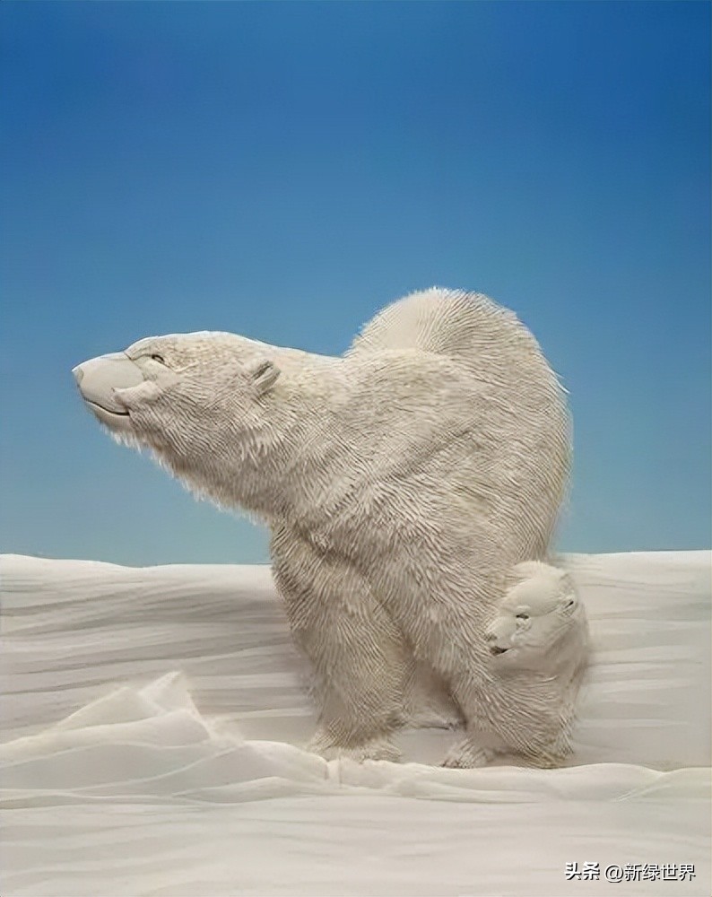 纸艺作品绘画,千变万化的纸艺术作品