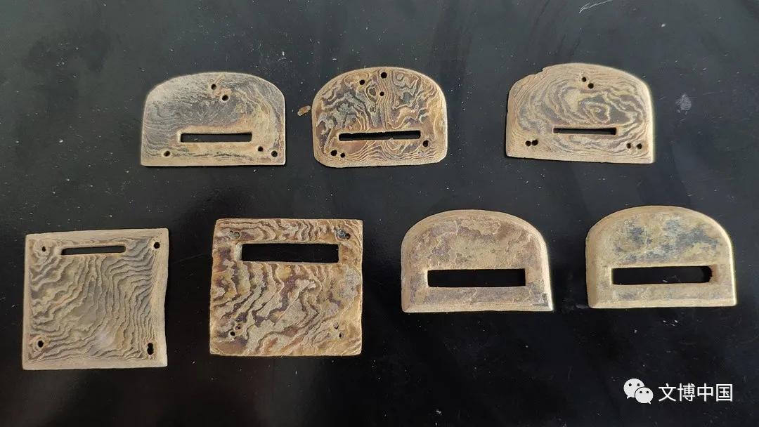 玳瑁出土于哪个墓,玳瑁现存