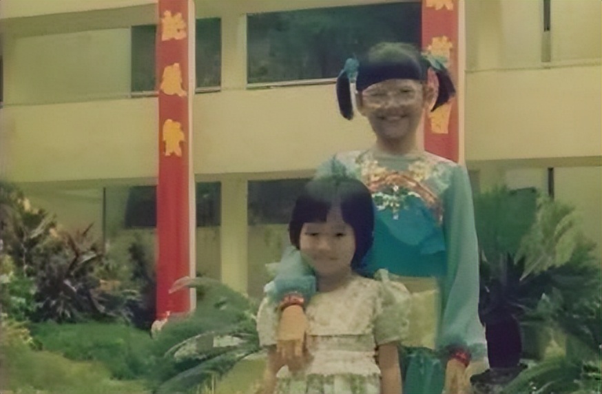 谁才是真正顶流歌手,90年代中国歌手顶流