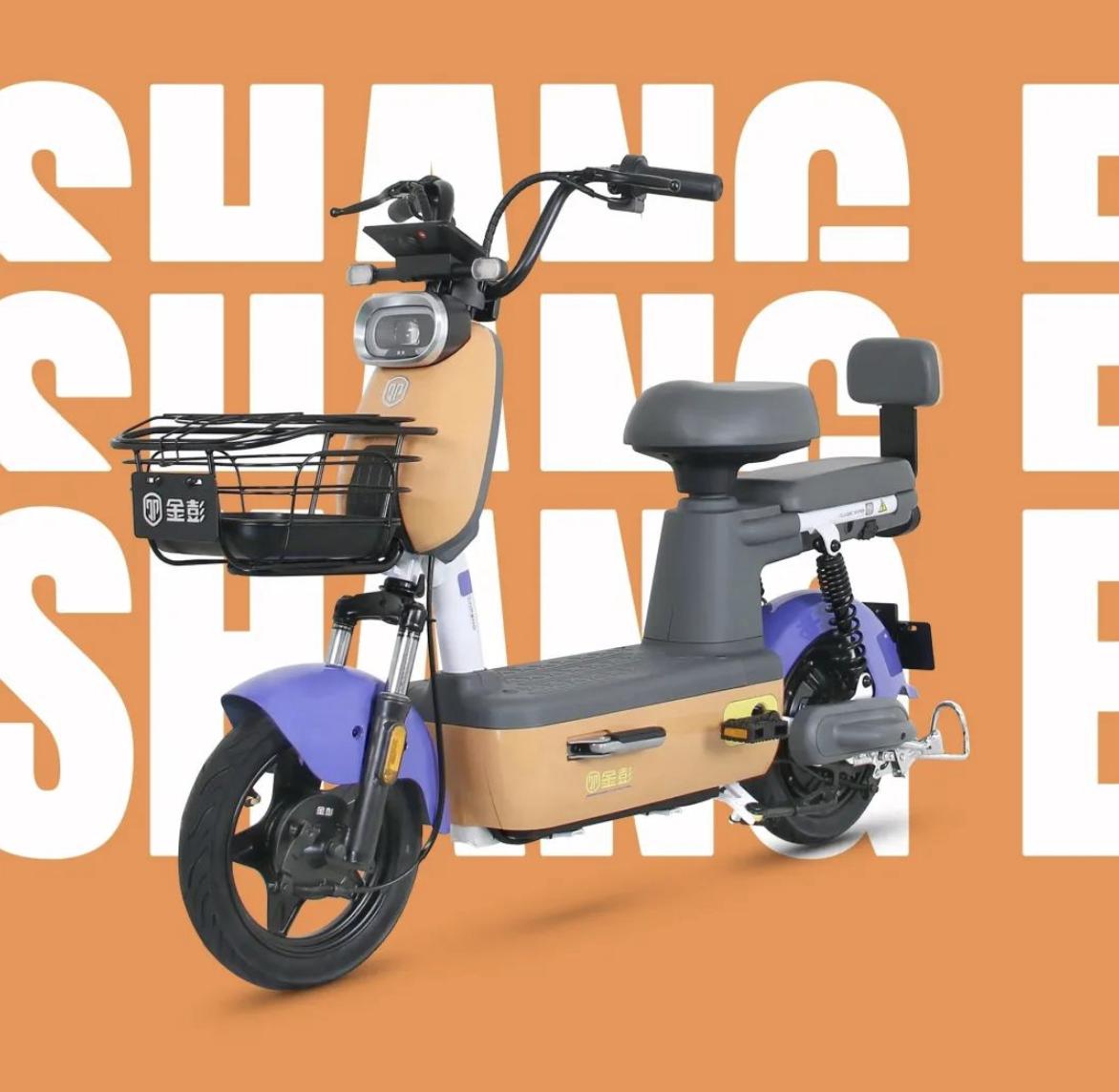 儿童平价代步自行车推荐,二孩电动自行车推荐