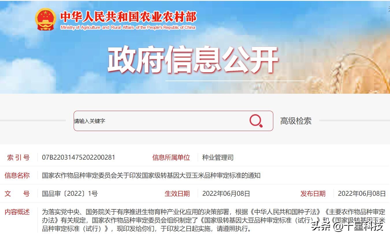 玉米抗虫品种审定,2022年抗虫的玉米种