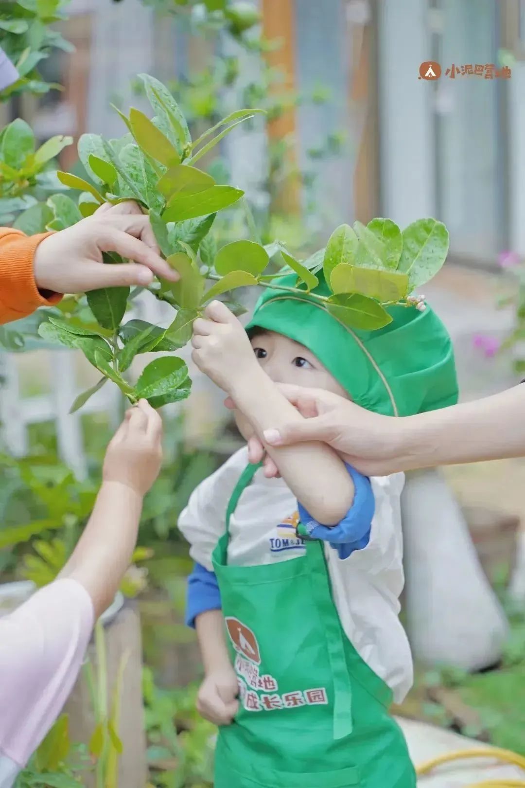 孩子上全托班的最佳年龄,幼儿刚上托班适合上什么课程