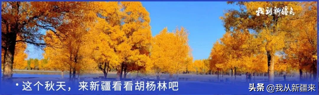 入疆旅游攻略,一篇攻略秒懂新疆