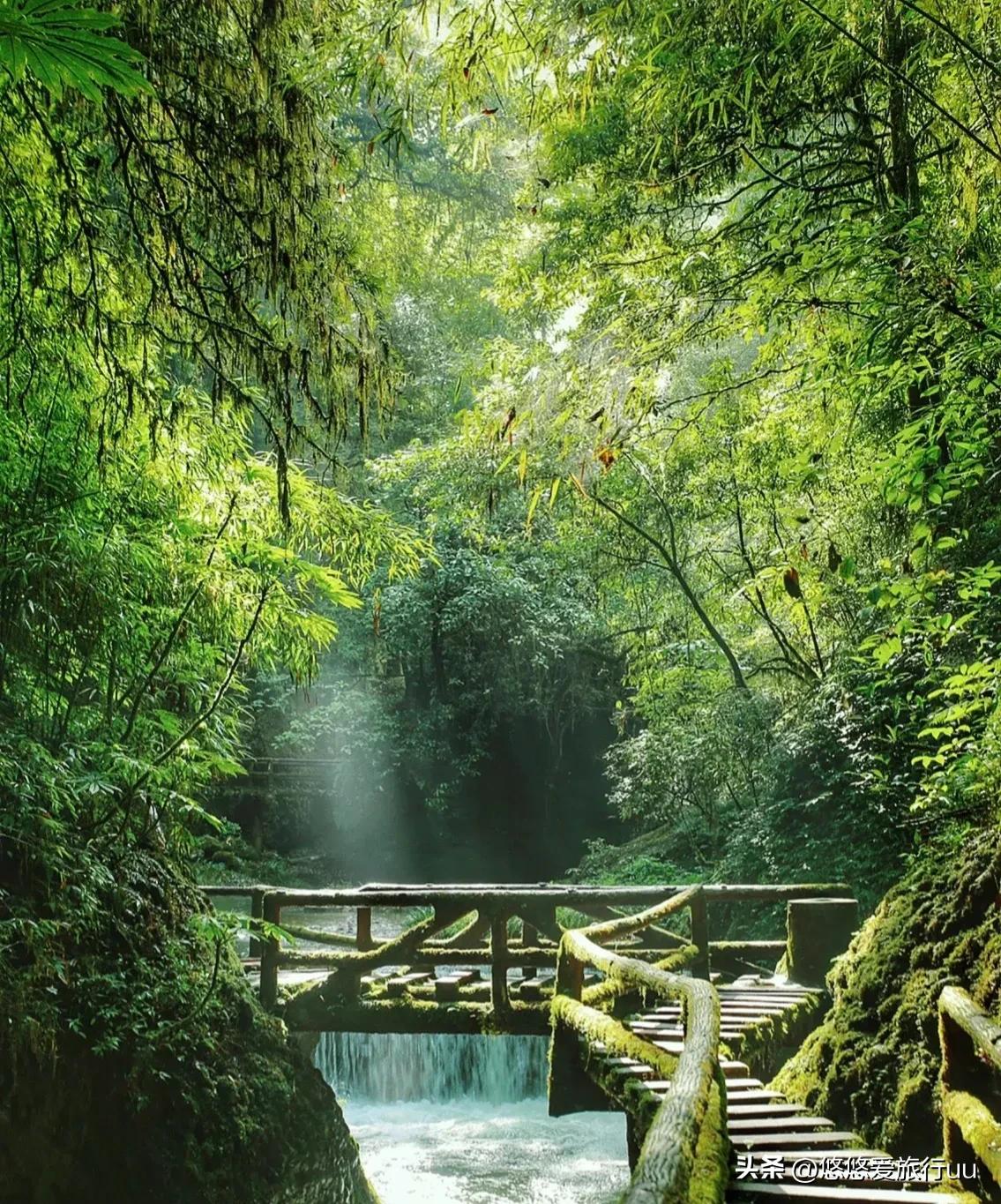 去成都旅游必去的十个地方,来成都必游之地有哪些