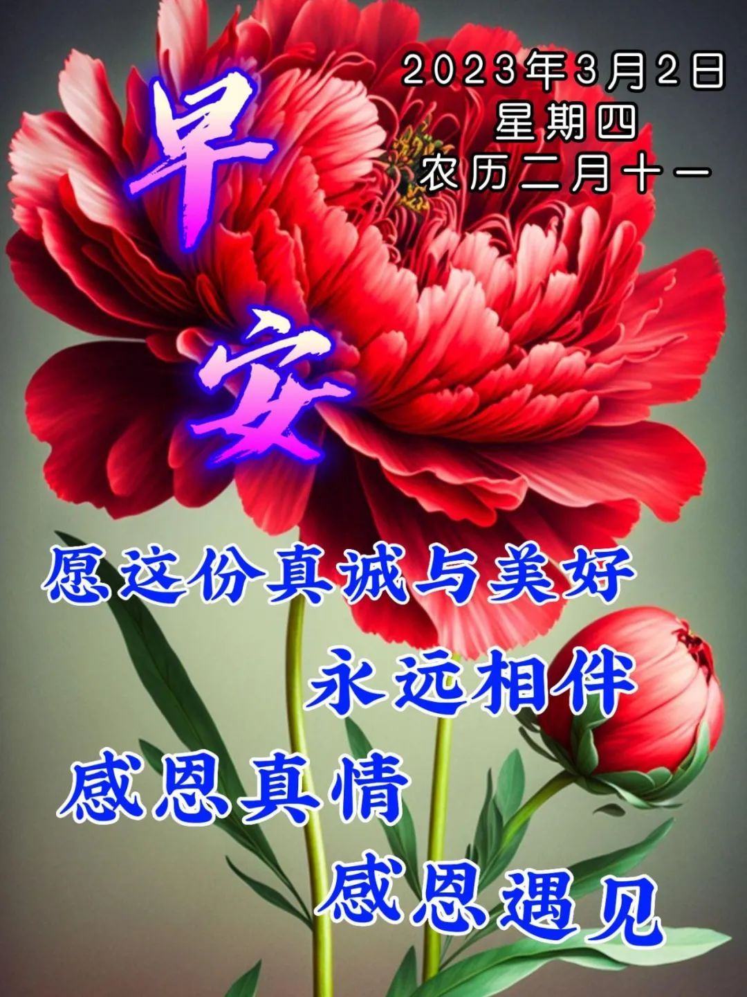 三月十日早晨文字问候语图片汇总,早安带字周三早上好祝福语图片